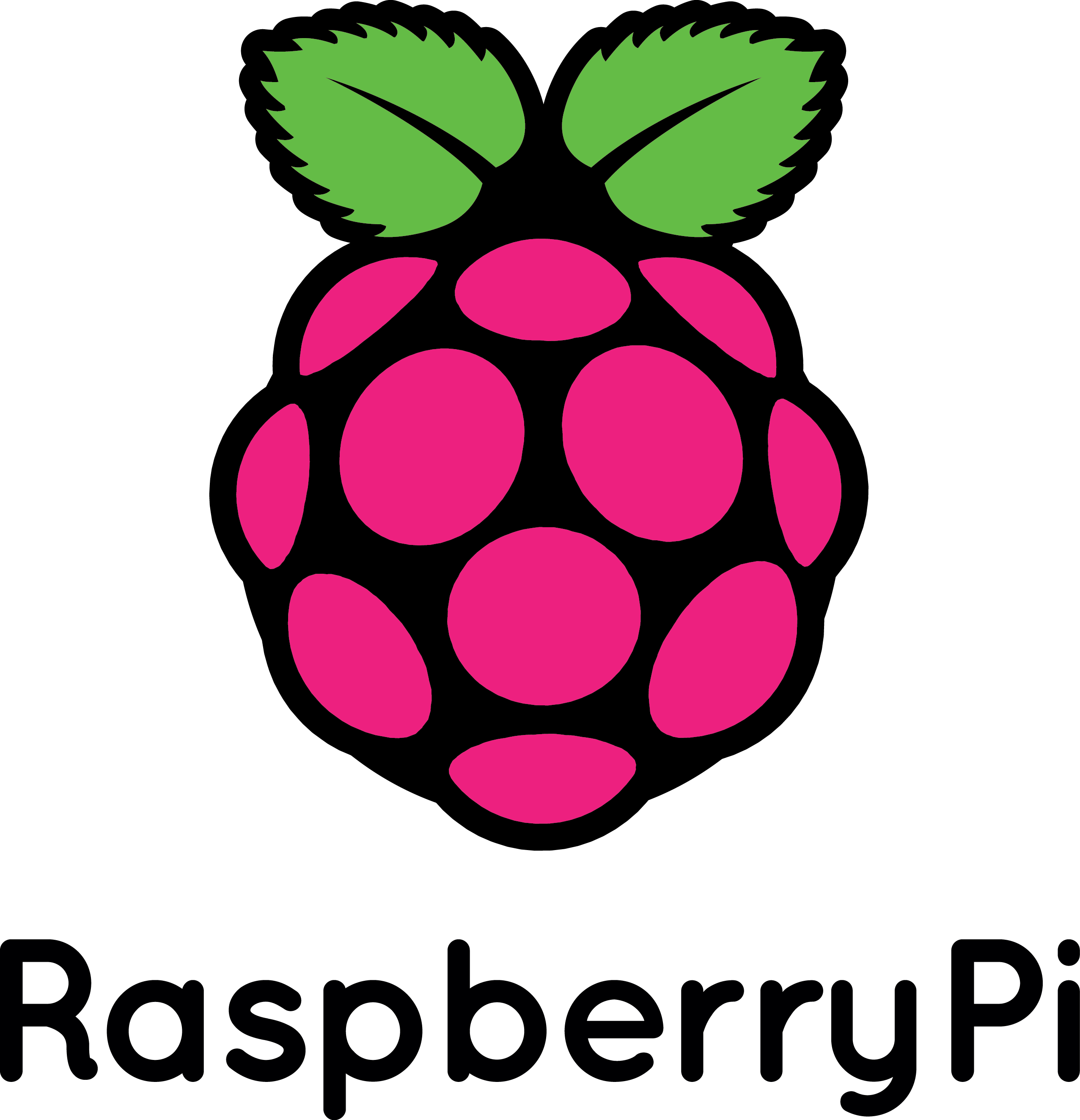 RaspberryPi Logo